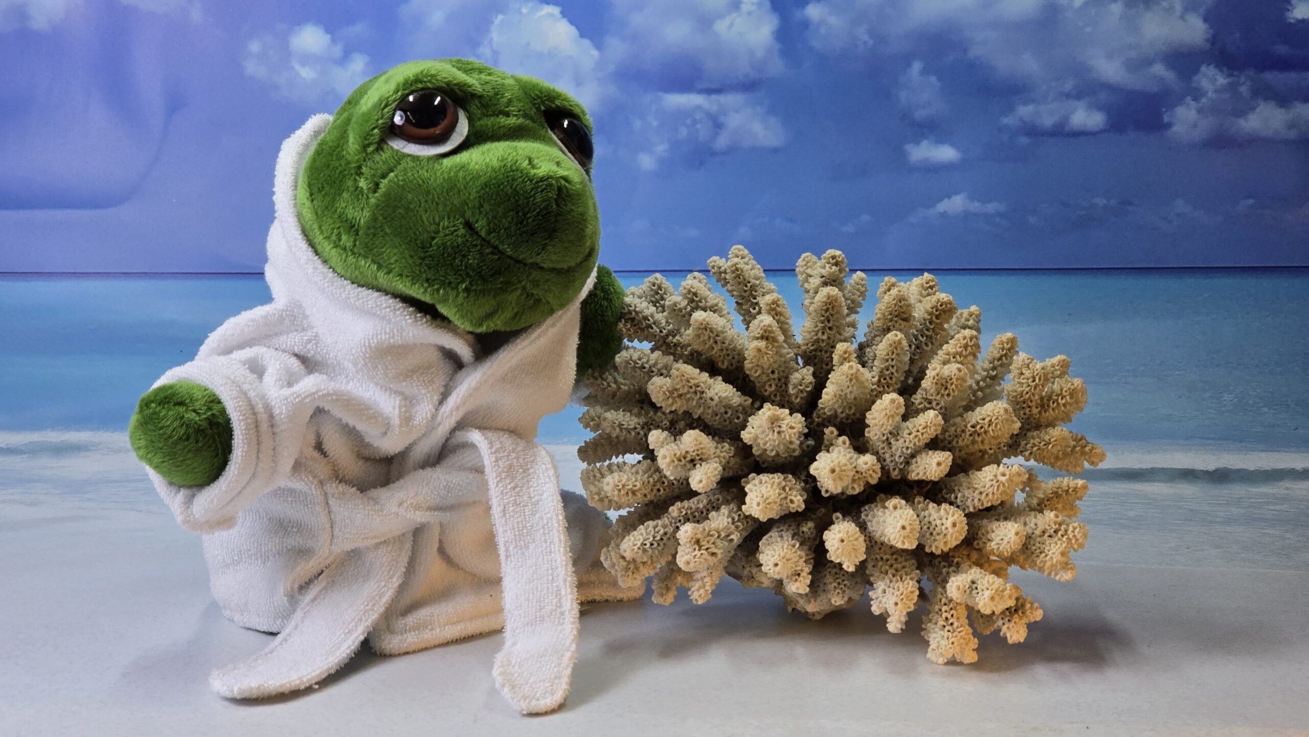 MSC Fanclub Bademantel für Mrs. Cruisy – Bild 3