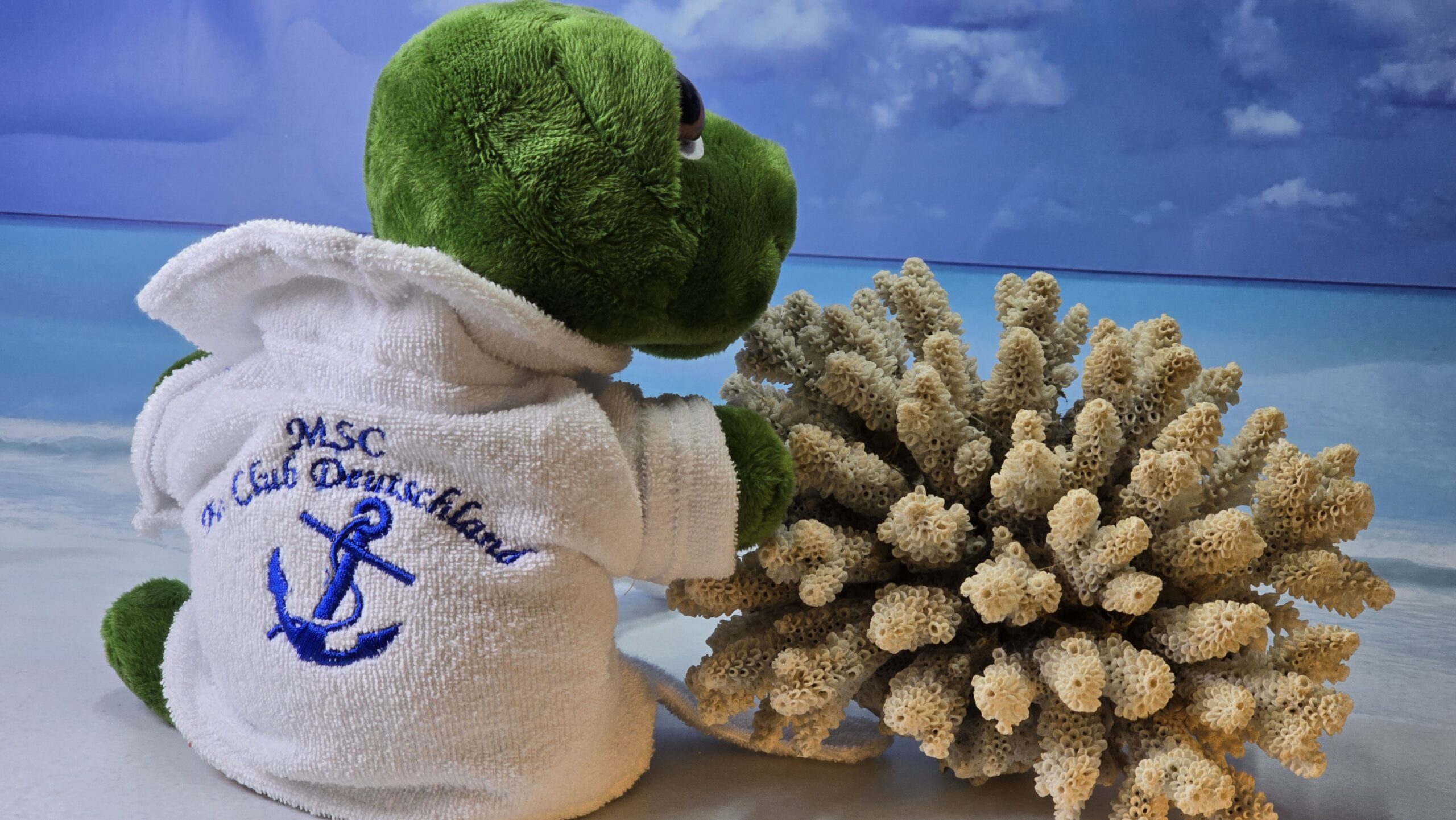 MSC Fanclub Bademantel für Mrs. Cruisy – Bild 4