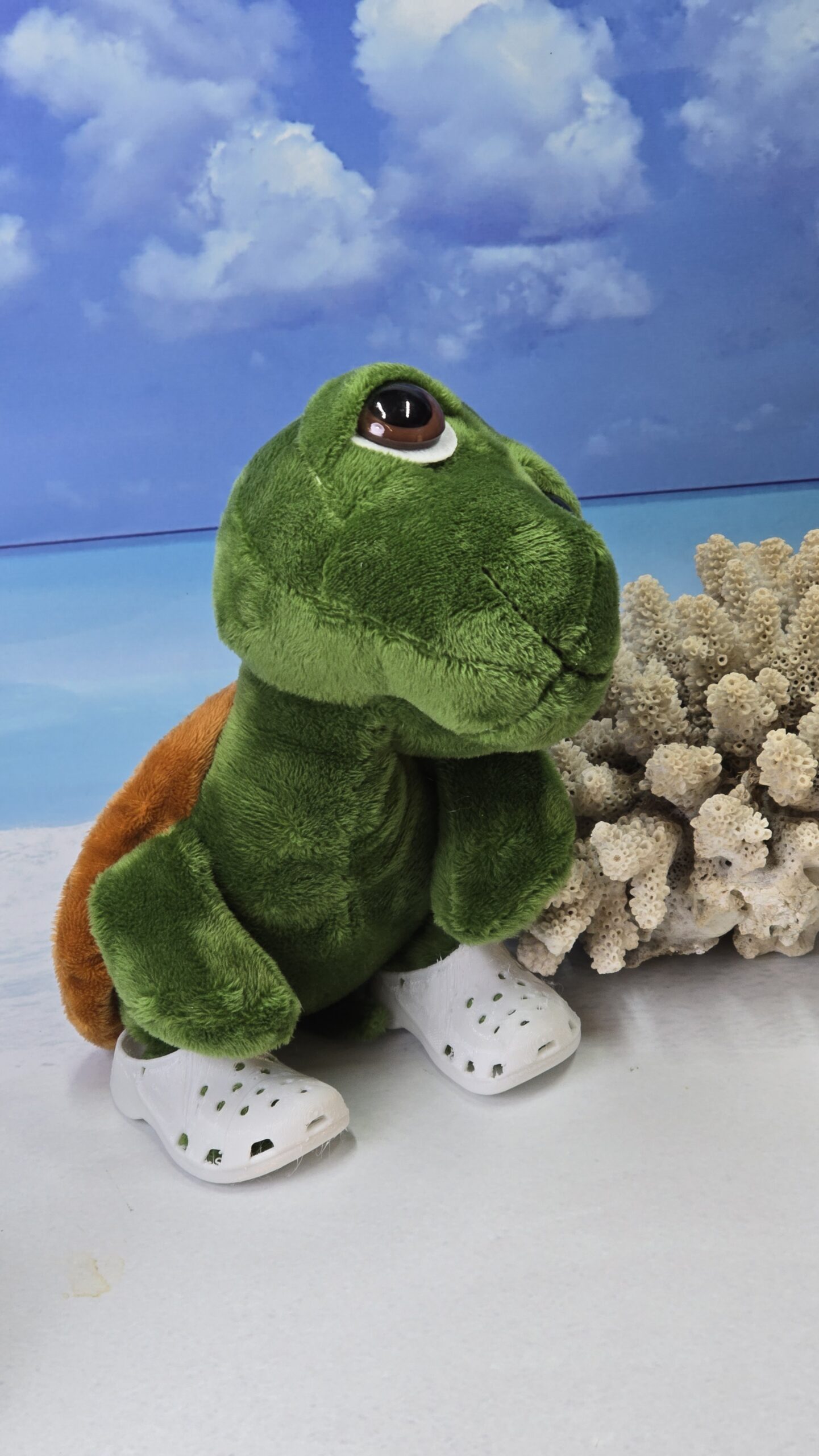 Schuhe für Mrs. Cruisy – Bild 4