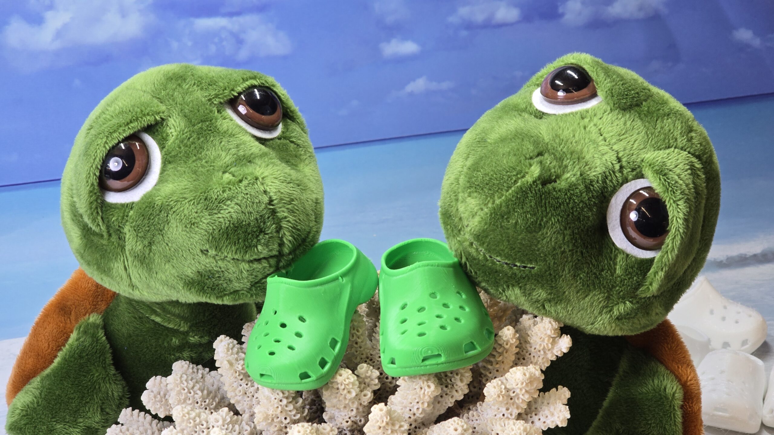 Schuhe für Mrs. Cruisy – Bild 2